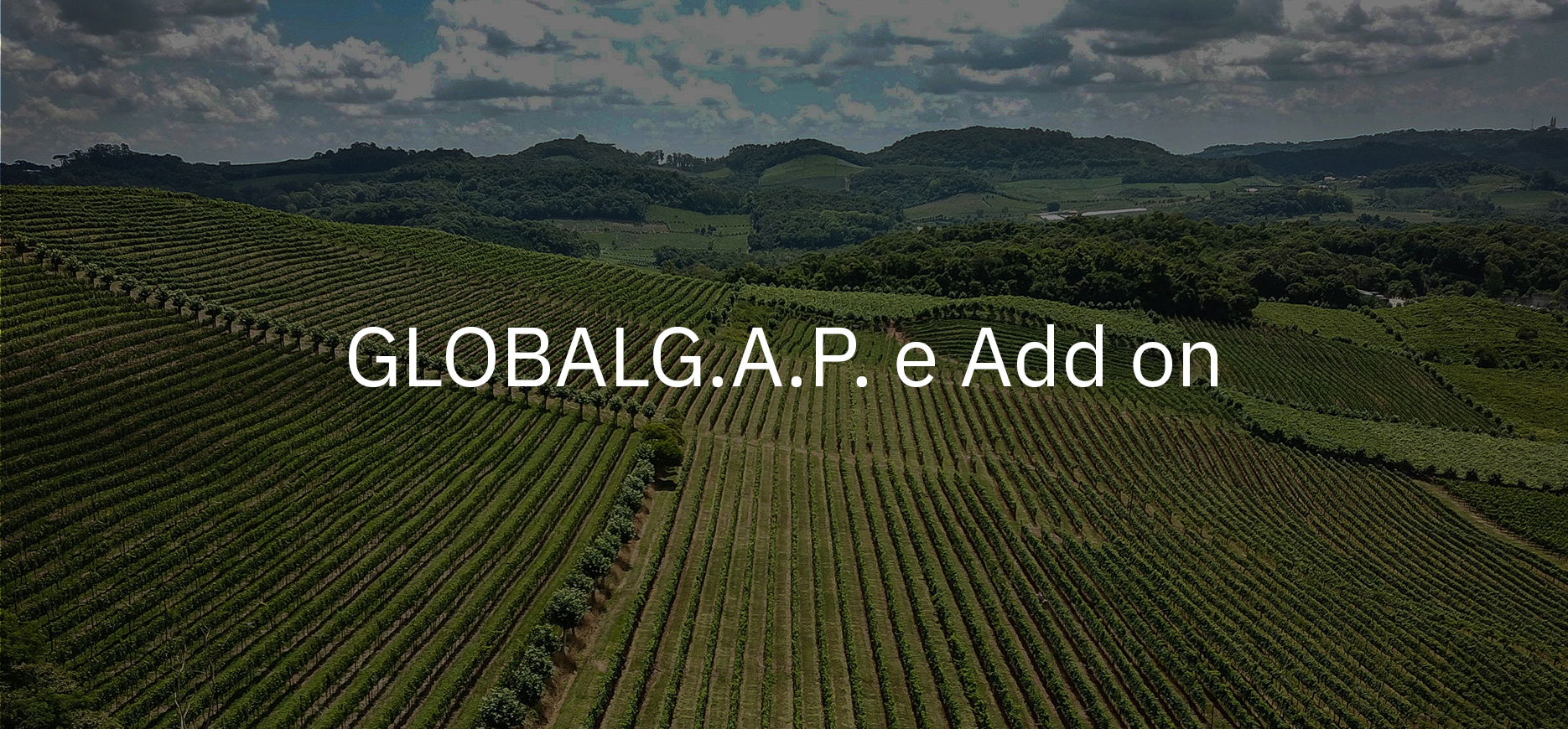 globalg.a.p. e add on