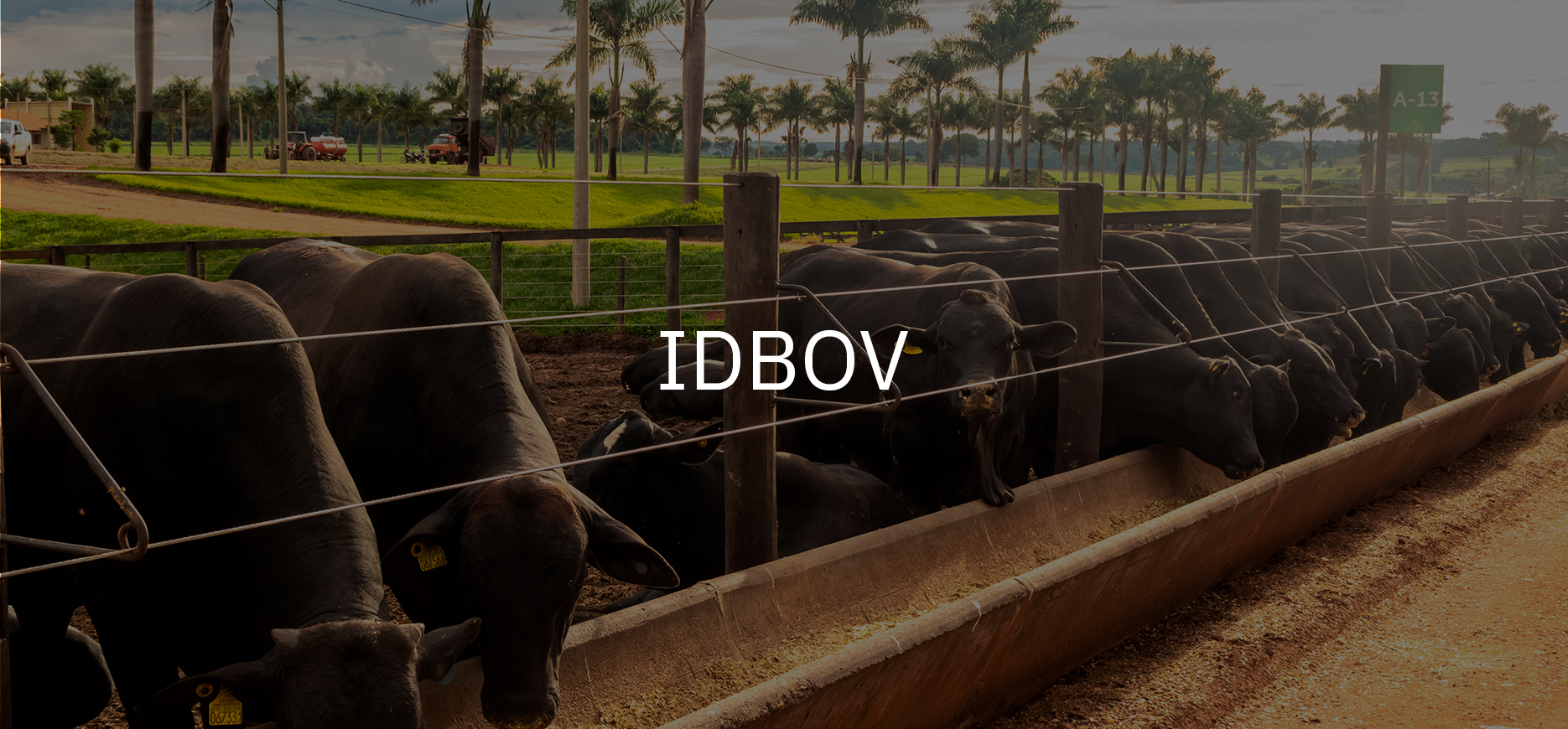 idbov