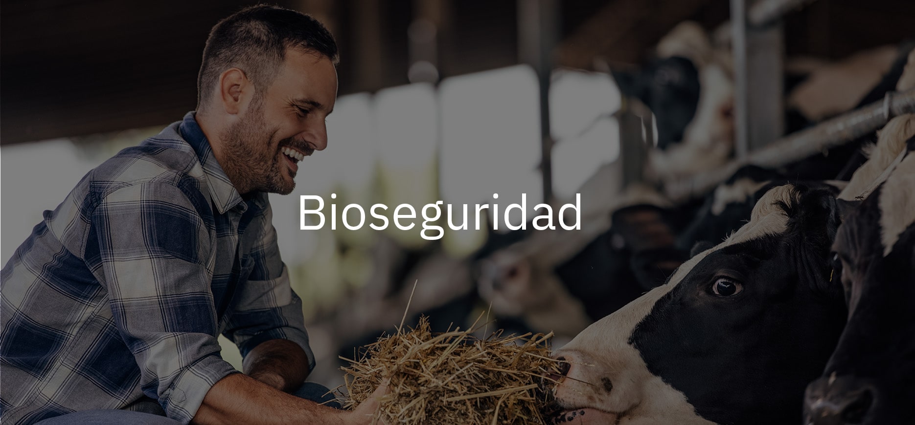 bioseguridad min