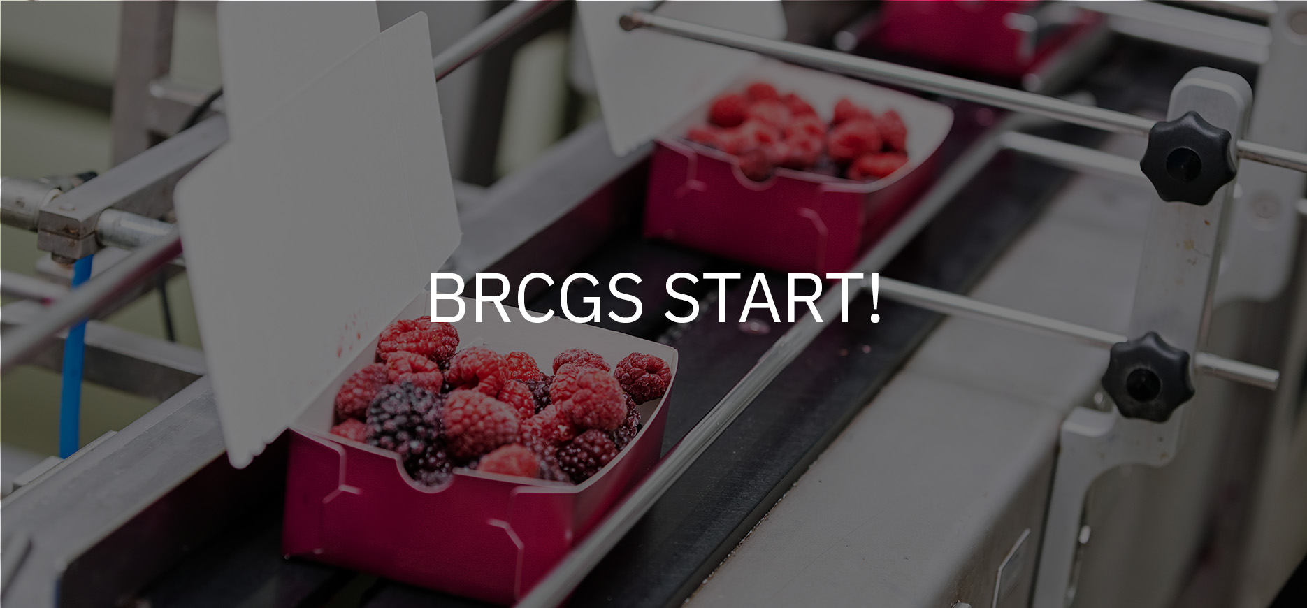 brcgs start!