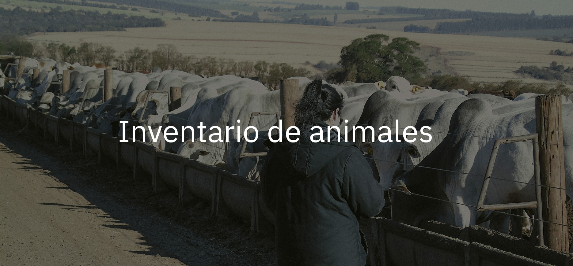 inventario de animales